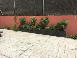 jardin antes de la reforma realizada por Abierto al Jardín en Paracuellos del Jarama