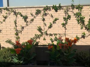 reforma de un ático realizado por la empresa de Abierto al Jardín en Madrid