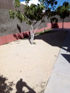 jardin antes de la reforma realizada por Abierto al Jardín en Paracuellos del Jarama