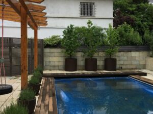 patio en Príncipe Pio XII realizado por Abierto al Jardín