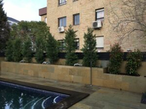 patio en Príncipe Pio XII realizado por Abierto al Jardín