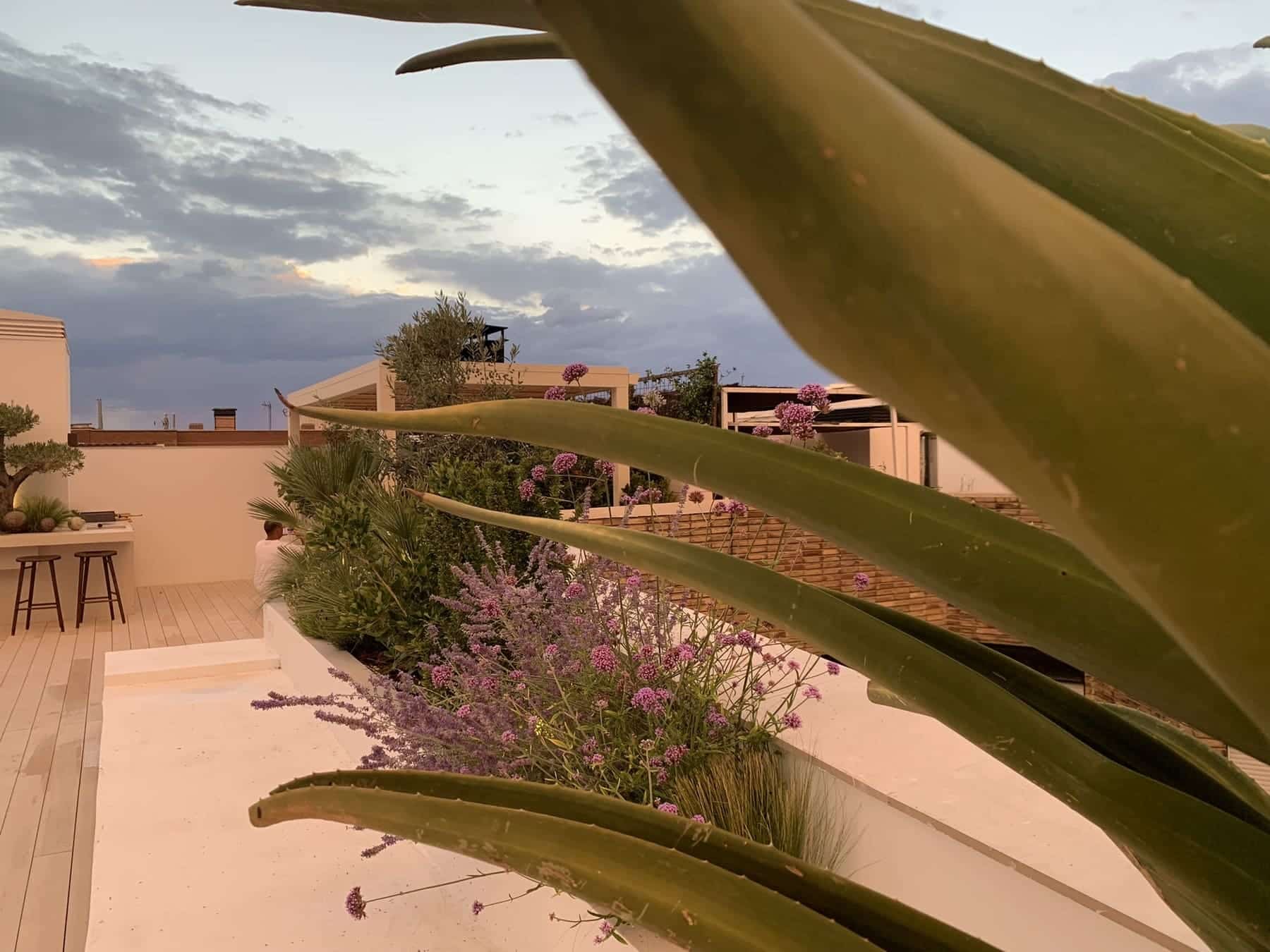 Terraza de ático con vegetación al atardecer en Castellana, Madrid — Abierto al Jardín