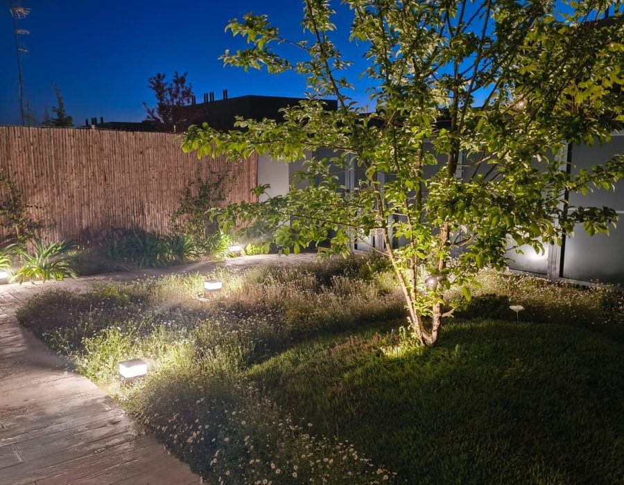 Camino con balizas de luz y árbol iluminado de noche sobre césped en jardín en Corredor del Henares — Abierto al Jardín