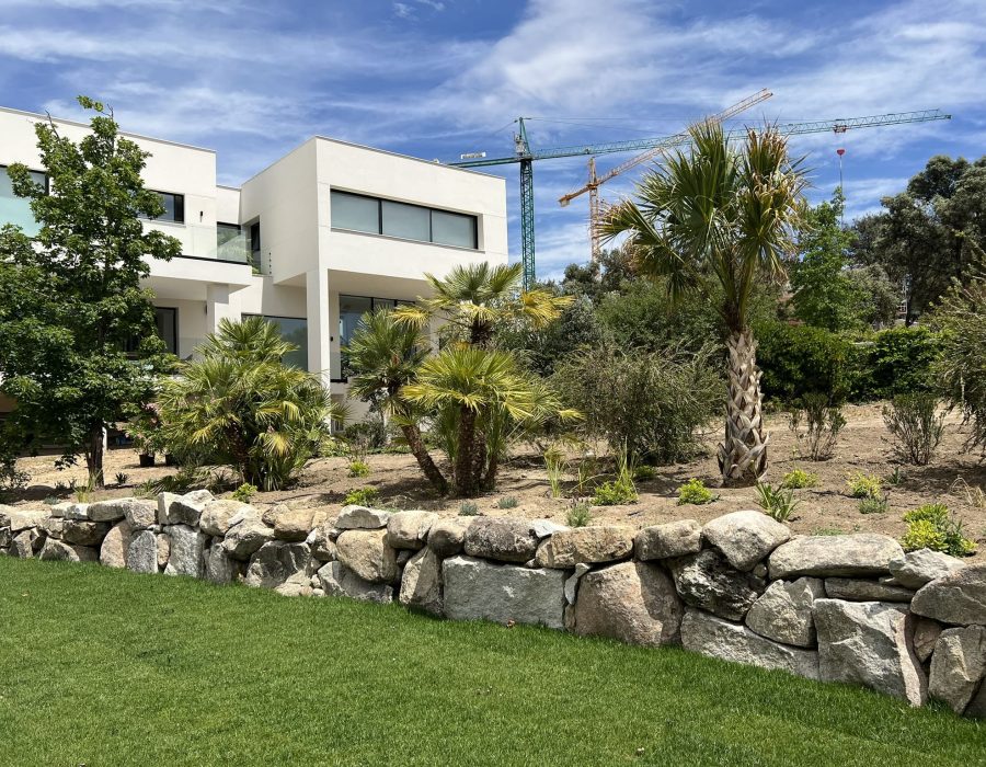 Muro de mampostería de piedra y palmeras en jardín de vivienda moderna en Madrid — Abierto al Jardín