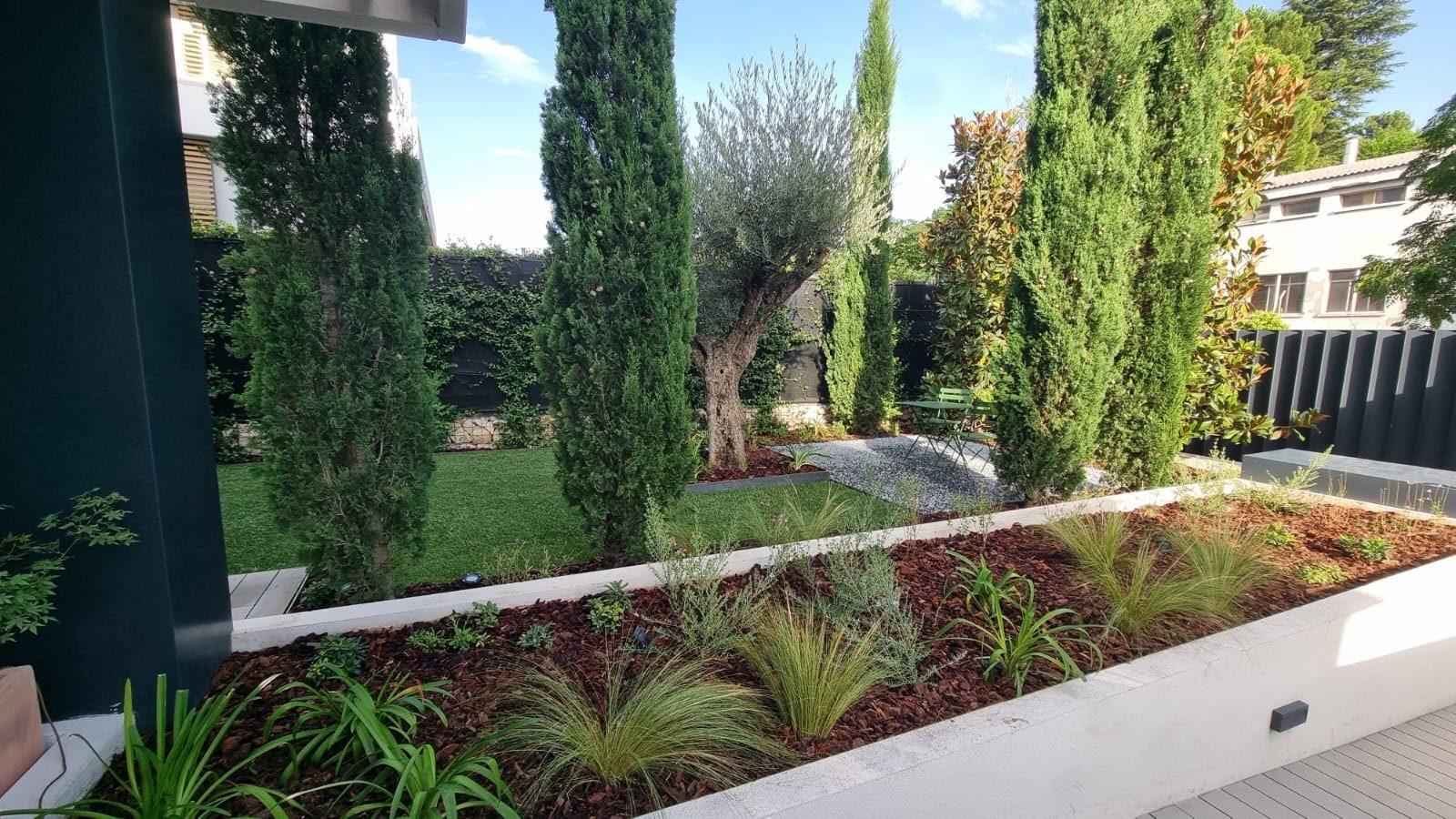 Parterre elevado con gramíneas, plantas de hoja larga y mantillo, con cipreses, olivo y zona de gravilla al fondo en un jardín de Aravaca — Abierto al Jardín